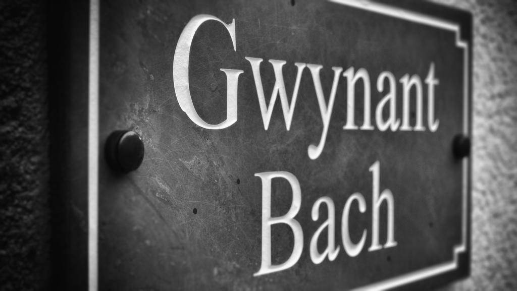 Holiday home Gwynant Bach *